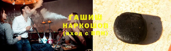 индика Медвежьегорск