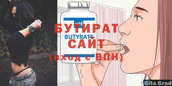 индика Медвежьегорск