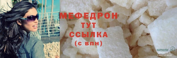 индика Медвежьегорск