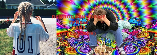 индика Медвежьегорск