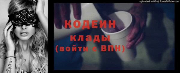 индика Медвежьегорск