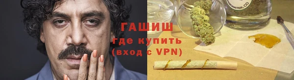 индика Медвежьегорск