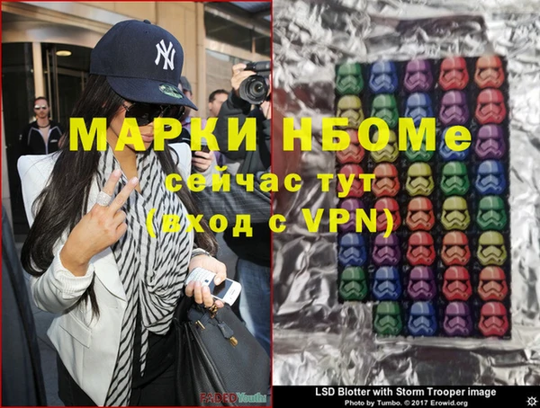 индика Медвежьегорск