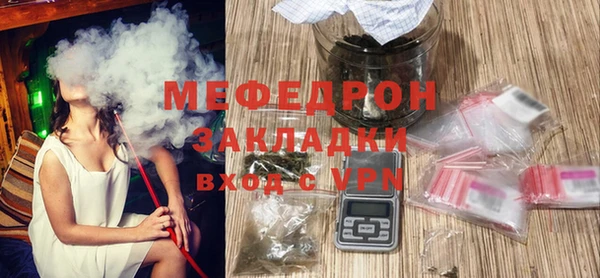 индика Медвежьегорск