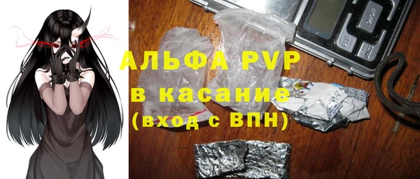 индика Медвежьегорск