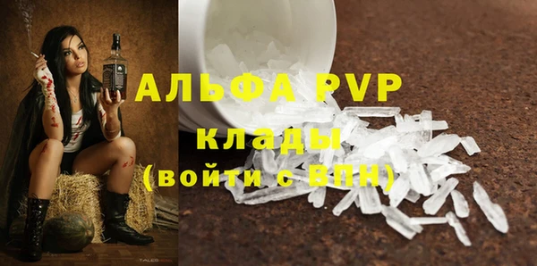 индика Медвежьегорск