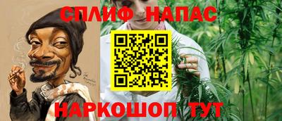 гидра Беслан