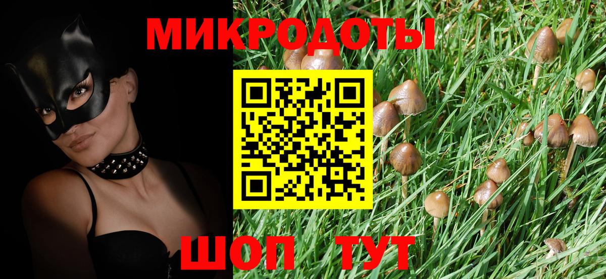Галлюциногенные грибы Psilocybine cubensis  Псилоцибиновые грибы GOLDEN TEACHER  Минусинск  Вход с VPN 
