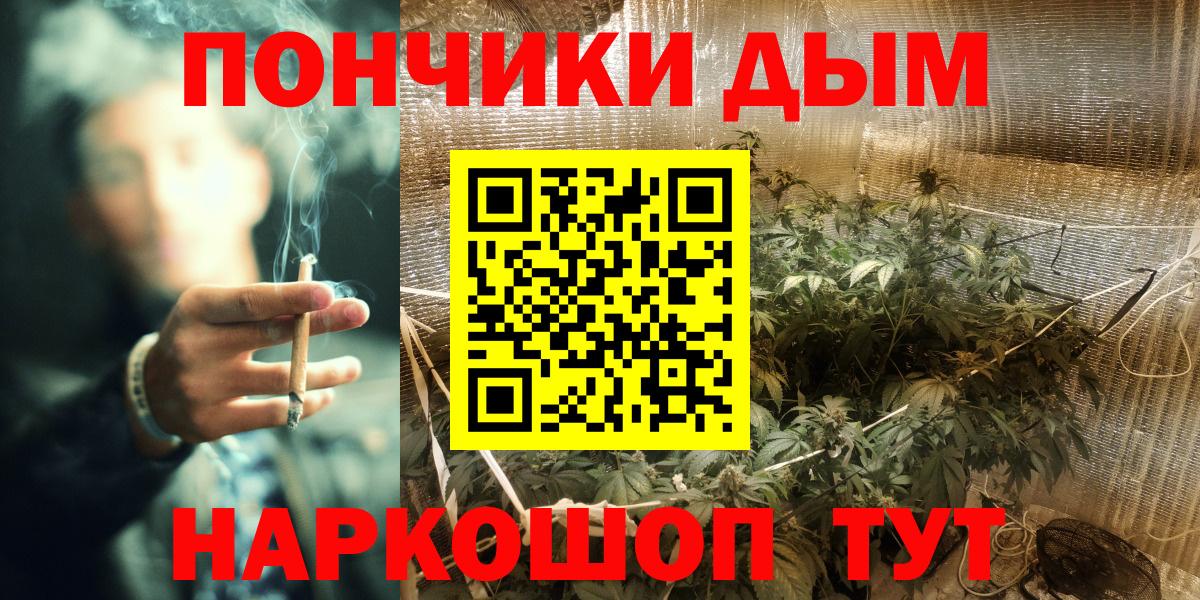 Бошки марихуана планчик  Канабис сатива  Конопля план  Минусинск 